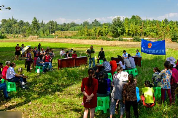 73岁老母亲状告儿女 法庭玉米地开庭(图)