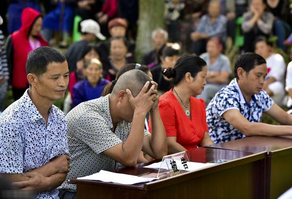 73岁老母亲状告儿女 法庭玉米地开庭(图)