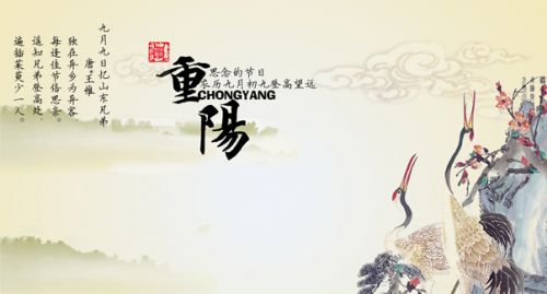 图据网络