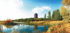 沈阳法库县：融入“辽文化”，建设宜居乡村
