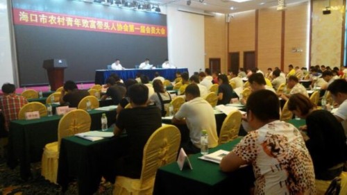 海口成立农村青年致富带头人协会当好创业领头雁。