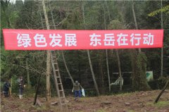 四川洪雅县东岳镇秋季植树活动再掀热潮