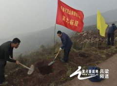 山西交城县造林1000亩 为实现＂宜居交城”添绿增彩