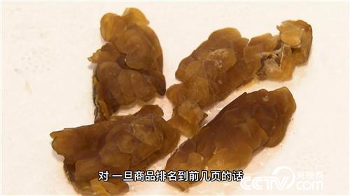 为爱回乡 深山寻宝