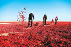 <b>壮哉！如此霸气的秋收</b>