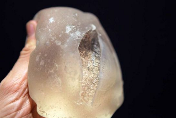 美女逗蛇被咬蛇死亡，蛇为鉴定假胸而硅胶中毒死亡(内附视频)