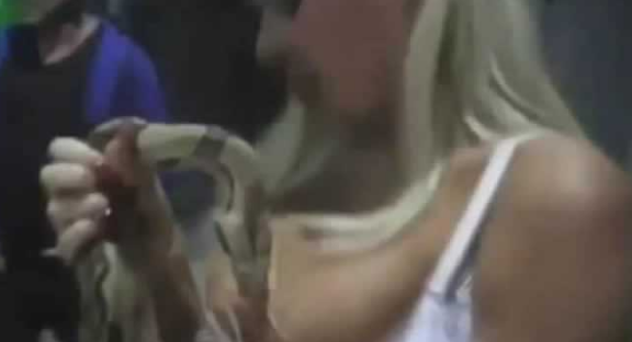 美女逗蛇被咬蛇死亡，蛇为鉴定假胸而硅胶中毒死亡(内附视频)