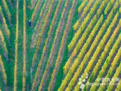 广西兴宁区顺利完成三农普两员培训