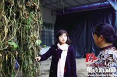 人大代表郭为波：为农民做实事的女“牛倌”