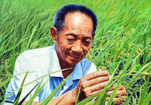 袁隆平的故事 十则故事解读袁隆平的成功史袁隆平的故事 十则故事解读袁隆平的成功史.jpg