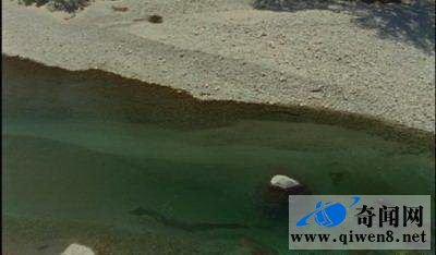 中国青海湖惊现真龙(有图有真相)