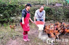 开州农民钱继承：种养结合 玩转高效农业
