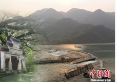 浙江丽水：十年接力绘“魅力莲都” 以画红利惠千万群众