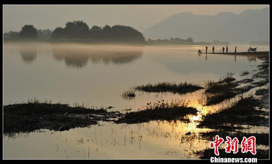 古堰画乡渡口晨色　宋彪　摄