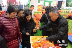 “清香爽口”！麻阳县农业局副局长连续6年农博会吆喝冰糖橙