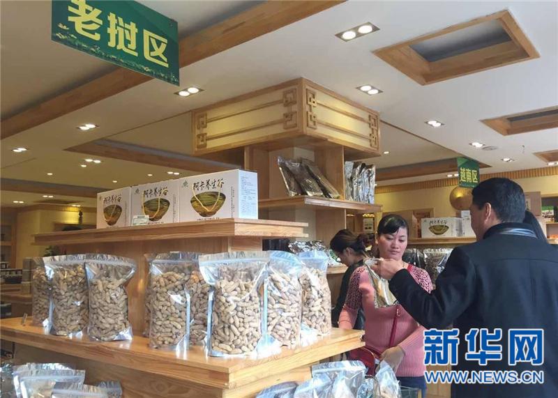 云南普洱：“绿色化”引领高原特色农业发展