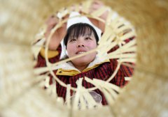 <b>河北柏乡县：“编织”致富路</b>