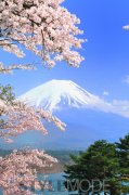 这个冬天释放身心！来神奈川箱根泡温泉看富士山