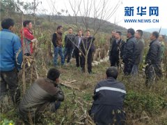 贵州开阳县：干部进田间 “两学一做”见实效