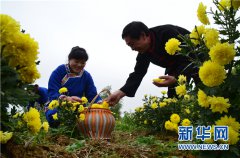 <b>贵州天柱民营企业迈开助力精准扶贫铿锵步</b>