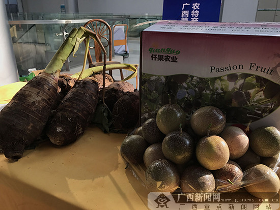 广西“第一书记”进城帮农民 推销“山货”迎新年