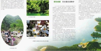 成俊峰 方富贵 郭 华