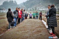 四川古蔺县：“农民夜校”开班 提升劳务素质