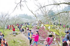 广东天露山：月明三更贵客迎 禅修古道梅花开