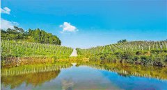 2016年重庆建成7305处农村饮水安全工程