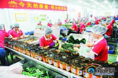 海南：通过多种形式助2.4万名贫困劳动力成功就业