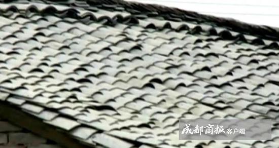 视频截图，房前屋后白茫茫疑似“下雪”