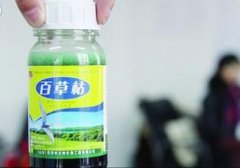 江苏男子在妻子内裤上涂抹农药致其死亡 获刑12年