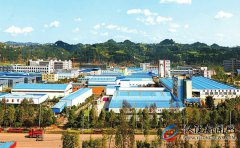 四川仪陇：未来5年，坚定不移推进产业培育，壮大县域经济实力
