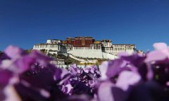 美媒记者穿越四川阿坝自治州：藏民生活走向现代化