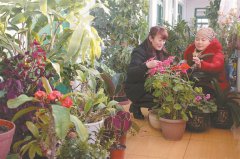 新疆伊宁村官马雅昕 助力村民脱贫致富