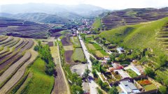 青海西宁：卡阳的春天提前来到