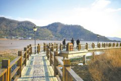 宁波象山茅洋：美得像首诗的“童画花乡”