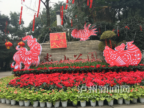 忠山公园门口的迎春花卉