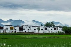 <b>杭州农村回迁房：简直住进吴冠中的画里</b>