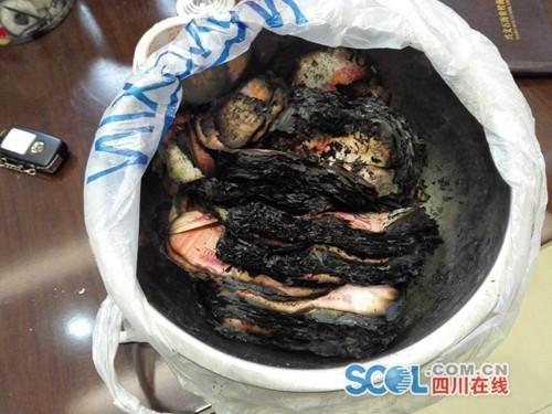 四川一农户熏腌肉引发火灾 7万多元现金被烧焦