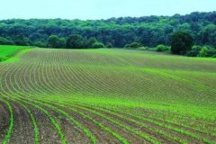 未来：休闲农业发展有哪些机遇、潜力、特点及趋势