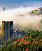 浙江磐安药镇：花落花开 药香江南