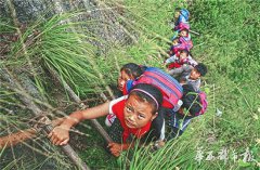 四川大凉山：藤梯变钢梯 “悬崖村”踏上致富路