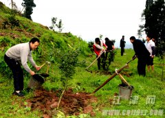 重庆江津：人大代表的“情人节”