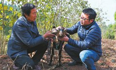 四川南充农技员赵力奎：致富路上“好帮手”