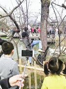 江苏扬州：男子在景区踩天鹅蛋踹天鹅 警方介入调查