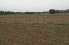 2017年农村土地有新政