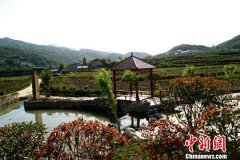 <b>驻村日记：扶贫故事·一个山区乡镇的“精神宴”</b>