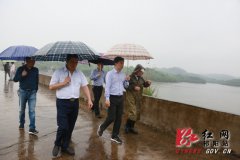 <b>金彪深入祁阳乡镇督查当前重点工作</b>