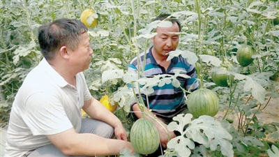 爱岗敬业，做一名 踏实的乡镇干部